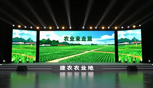 影视策划如何提升业务效率?